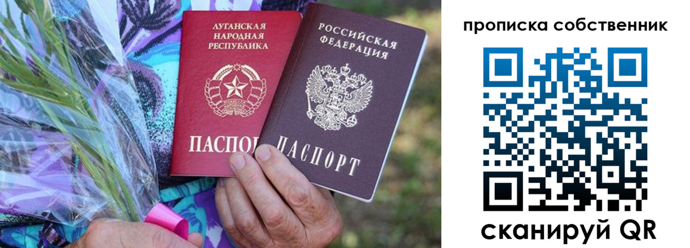 прописка для школы в Железногорске